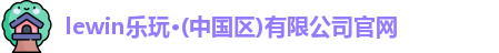 乐玩国际